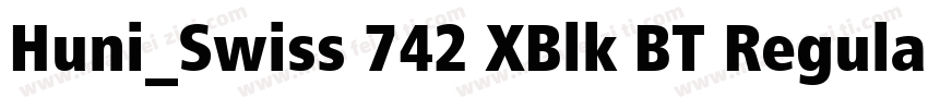 Huni_Swiss 742 XBlk BT Regular字体转换